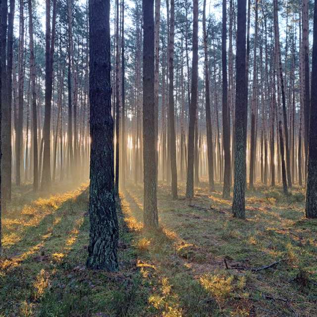 Прогнозы погоды с чудесными фотографиями, сделанными Arturo