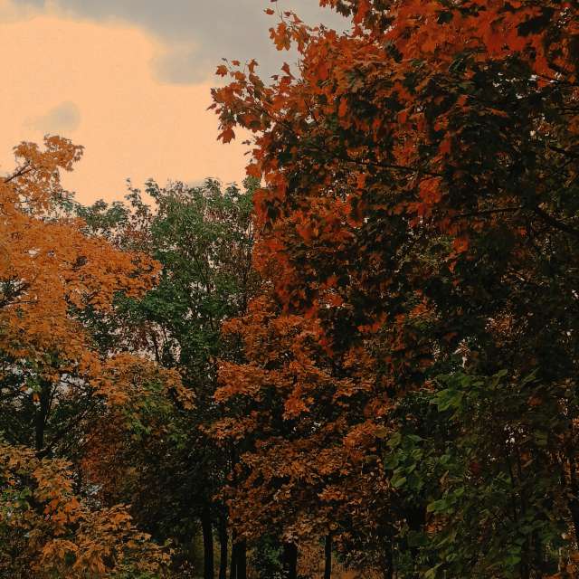 Weather Photos in Marketplace. Weather forecasts with beautiful photos by Вита Москвина