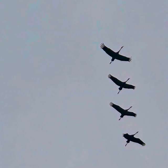 Priroda. Wettervorhersagen mit schönen Fotos von Hela Fotos Bayern