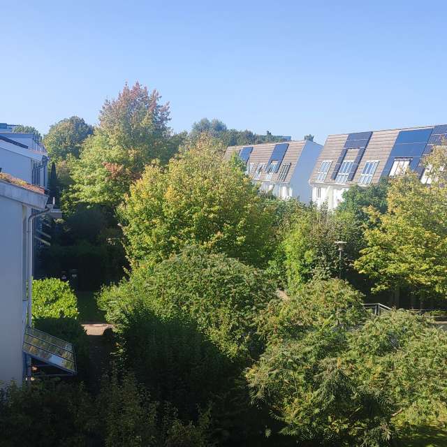 Bus. Weather forecasts with beautiful photos by Tercis Photos in Ettlingen