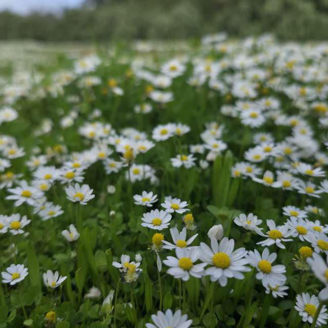 Weather forecasts with beautiful photos by Brtd