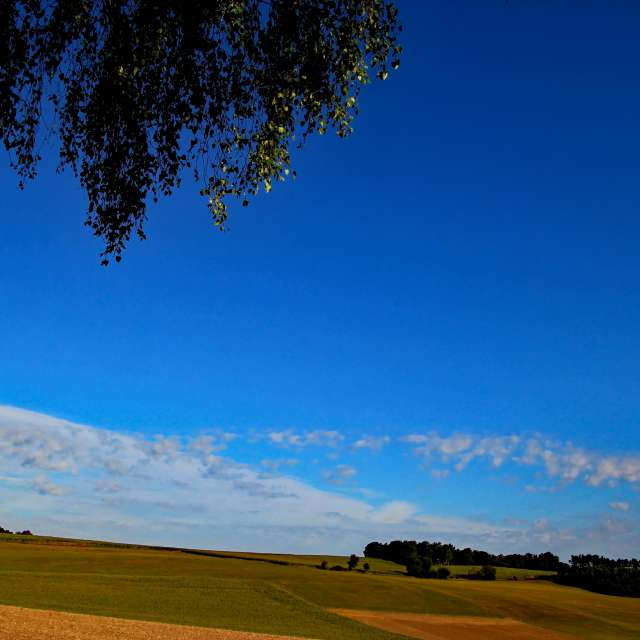 Man. Weather forecasts with beautiful photos by Lotti5507 Photos in Stockum