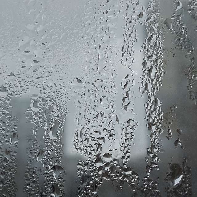 Gray. Weather forecasts with beautiful photos by Iryna Photos in Kharkiv