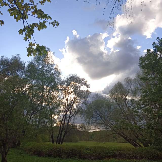 Group. Weather forecasts with beautiful photos by Amanda_and_Valdemar_Che Photos in Izmaylovo District
