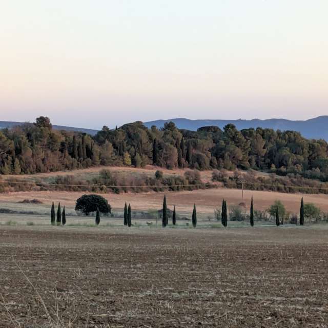 Morelenの美しい写真による天気予報