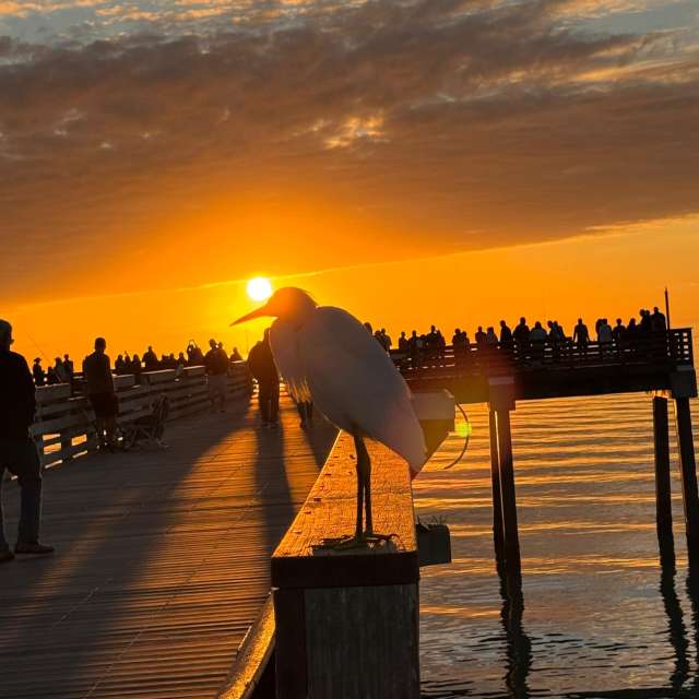 Прогнозы погоды с чудесными фотографиями, сделанными Tim_Welch