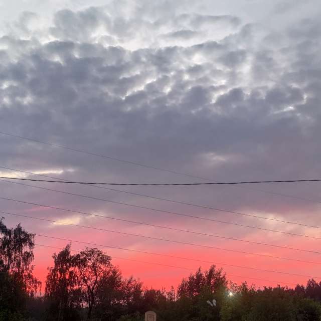 世界的天气照片. 天气预报，带Lara357精美的照片