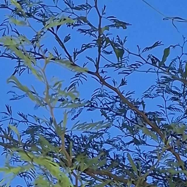 Clock. Weather forecasts with beautiful photos by Wen-ya Huang Photos in Kaohsiung City