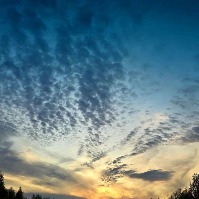 Weather forecasts with beautiful photos by Mksimys