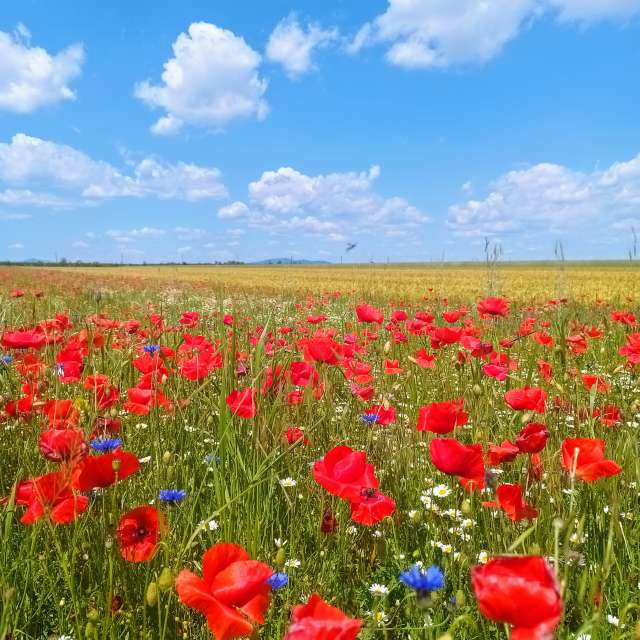 Weather Photos in World. Weather forecasts with beautiful photos by Kripo