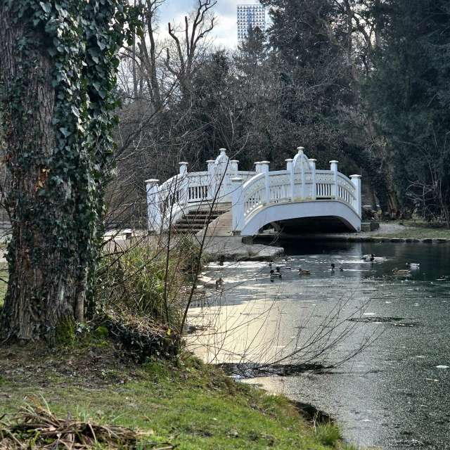 Helaの美しい写真による天気予報