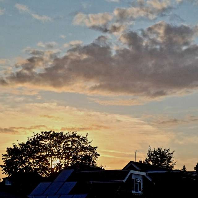 Photos Homme. Prévisions météo avec de superbes photos de Lolli de Maidstone