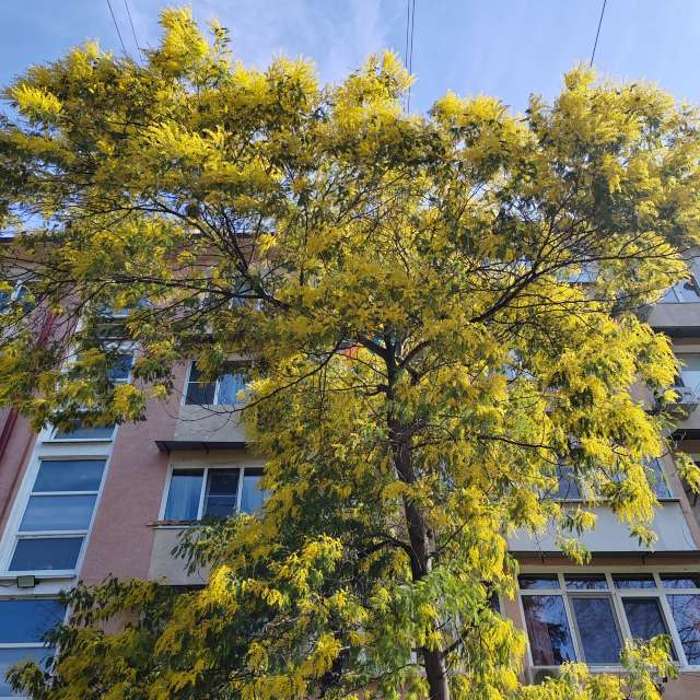 Fotos del Alto. Pronósticos del tiempo con hermosas fotos de Albert_Smelovtsev en Sochi