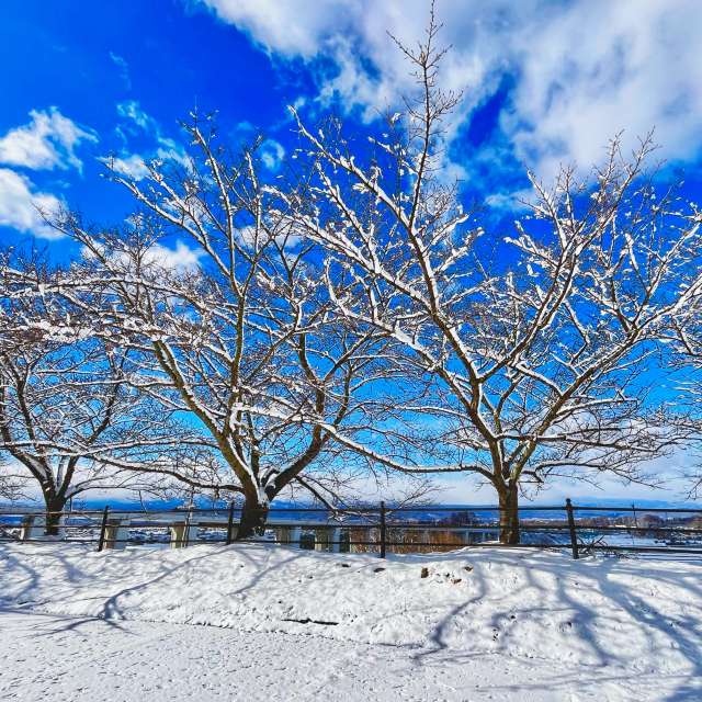 Прогнозы погоды с чудесными фотографиями, сделанными Kasumisou