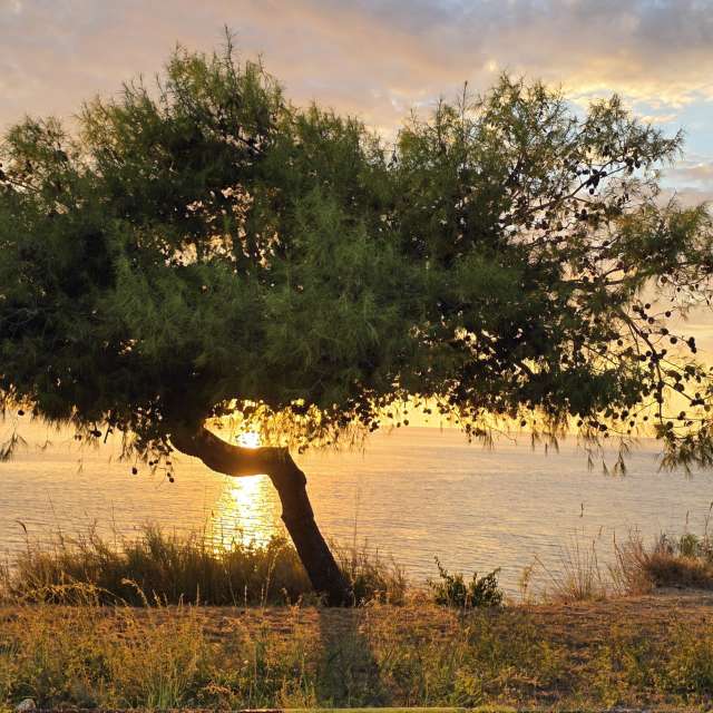Weather Photos in Sunset. Weather forecasts with beautiful photos by JURACERNA
