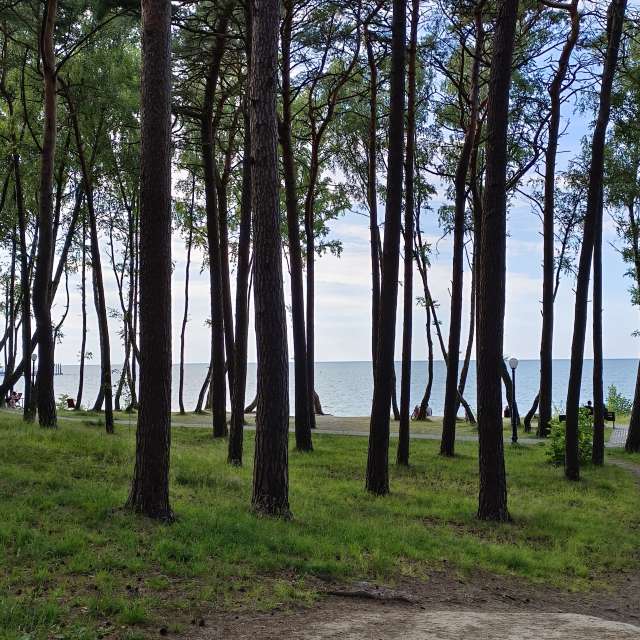 Fotos Grande. Previsões do tempo com lindas fotos de Михаил Бондаренко em Pionerskiy