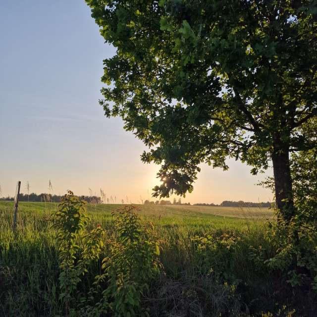世界の天気写真. xPrzybyLxの美しい写真による天気予報