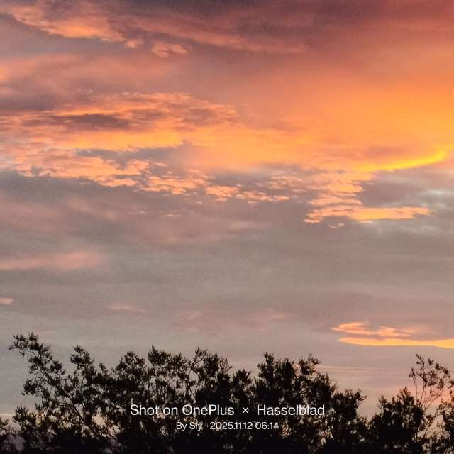 MsSlyの美しい写真による天気予報