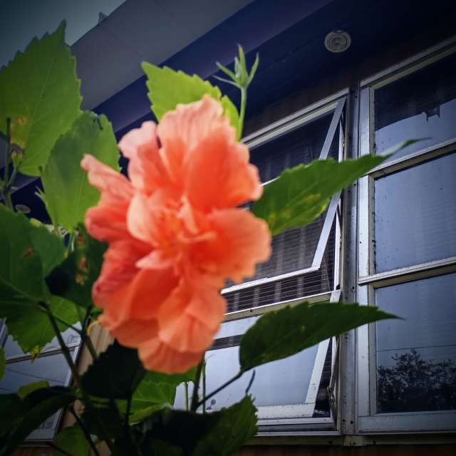 Weather forecasts with beautiful photos by Christinam01