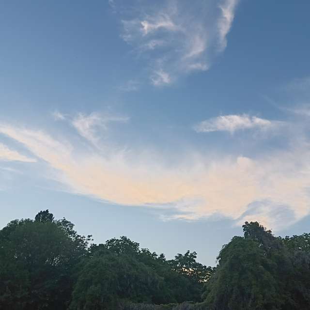 Fotos del Oveja. Pronósticos del tiempo con hermosas fotos de YanBog en București