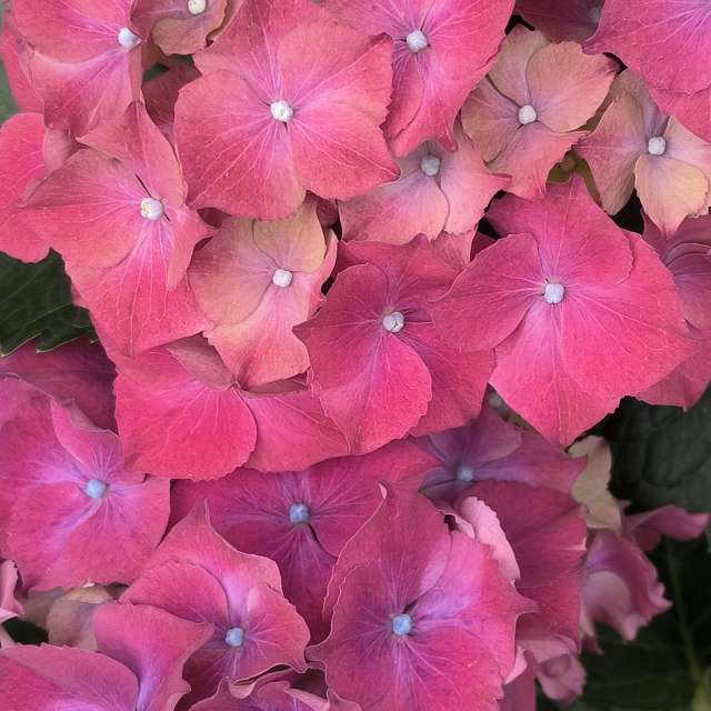 Fotos del Clima. Pronósticos del tiempo con hermosas fotos de YanBog en Strada Bozieni 6