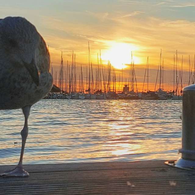 Прогнозы погоды с чудесными фотографиями, сделанными Calendula