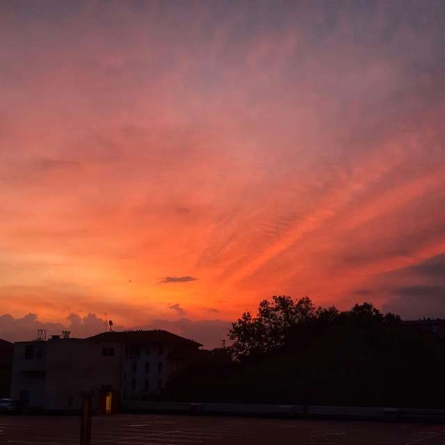 天气预报，带Leonhartit精美的照片