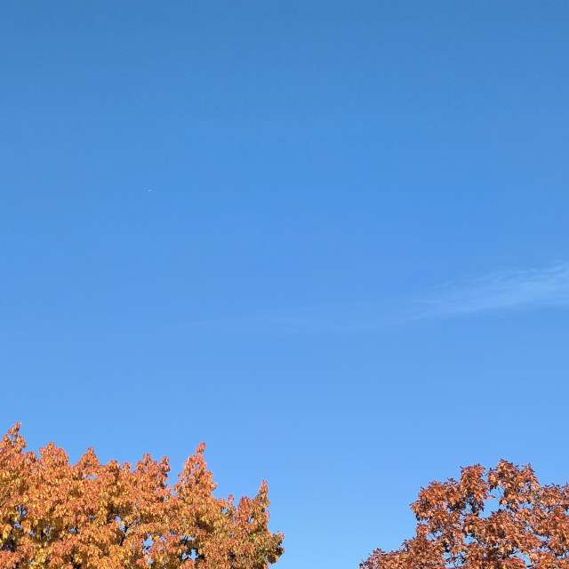 Fotos del Parque. Pronósticos del tiempo con hermosas fotos de YanBog en Bucharest