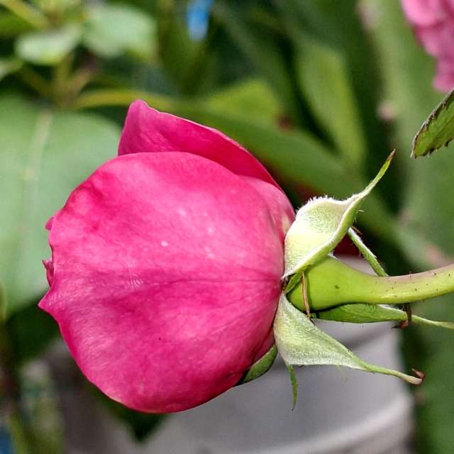 Photos Remplissage. Prévisions météo avec de superbes photos de Wen-ya Huang de Kaohsiung