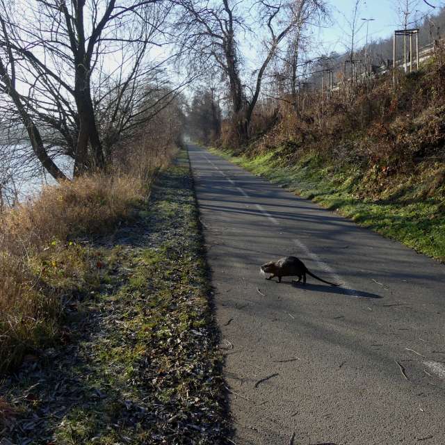 Fotos Paisagem. Previsões do tempo com lindas fotos de Vasek325 em Praha 4