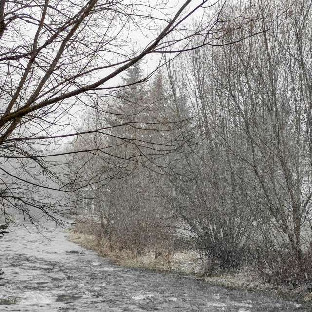 Gras. Wettervorhersagen mit schönen Fotos von Kripo Fotos Ladek Zdroj