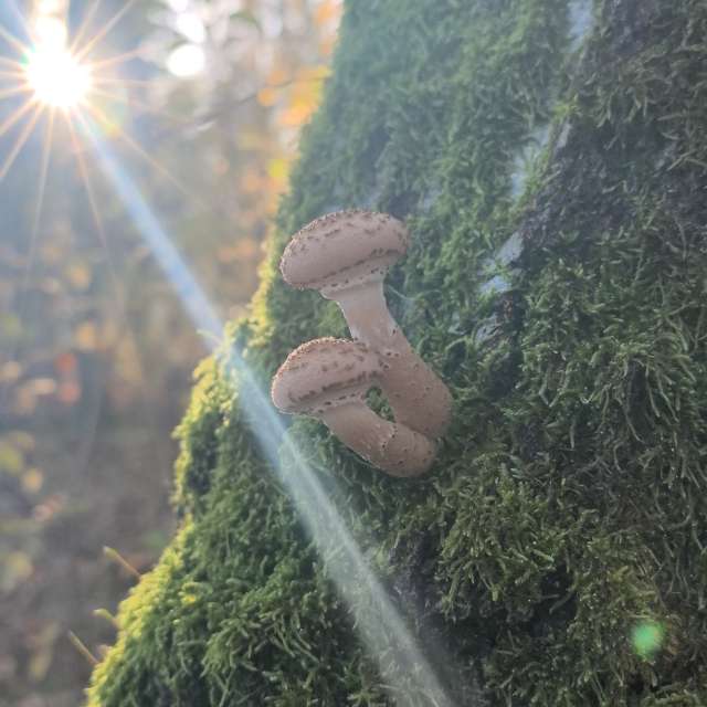 Previsões do tempo com lindas fotos de Igor-65
