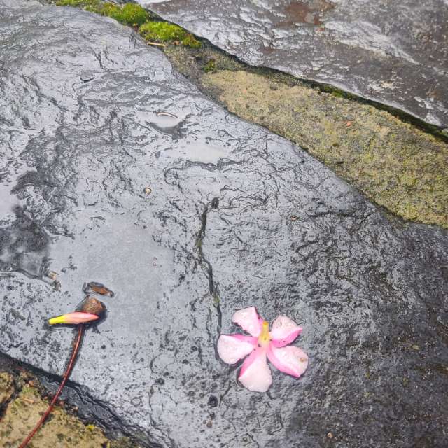 Fotos Molhado. Previsões do tempo com lindas fotos de Zorrra em Kladow