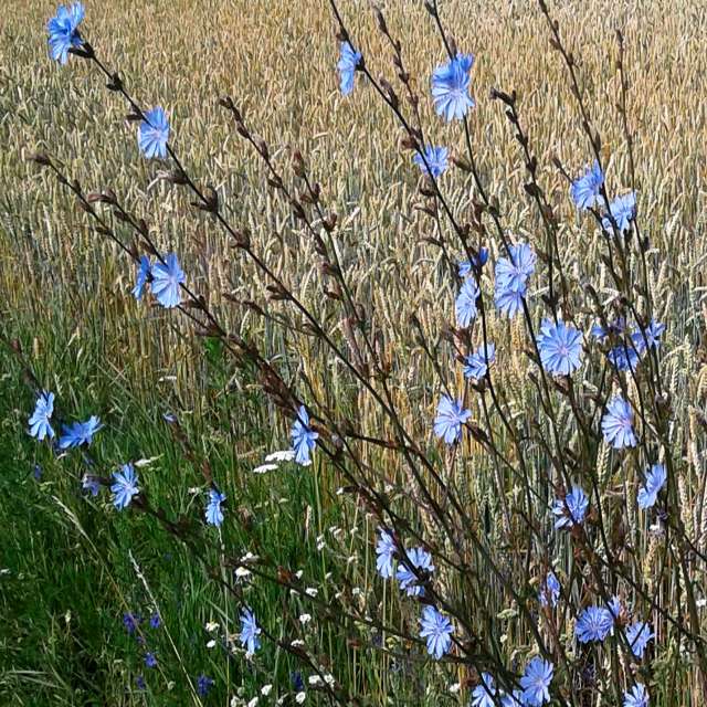 Group. Weather forecasts with beautiful photos by urashm Photos in Khmelnytskyi
