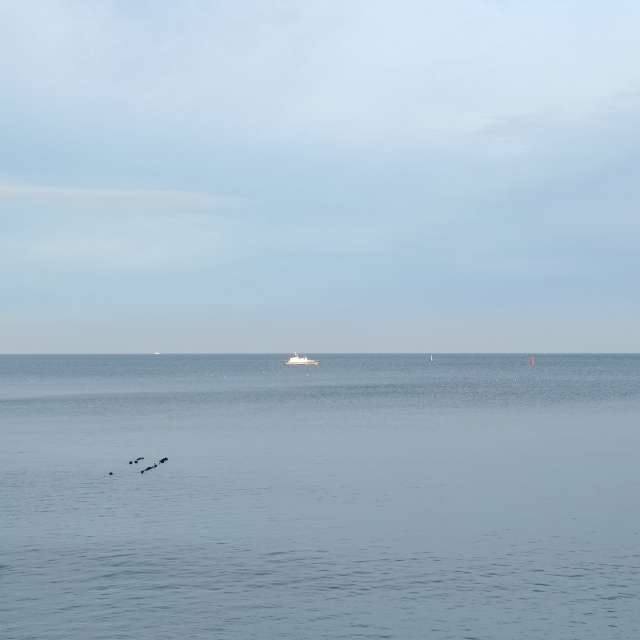 天气预报，带Михаил Бондаренко精美的照片