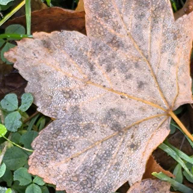 Dự báo thời tiết với những bức ảnh đẹp của Claudsch