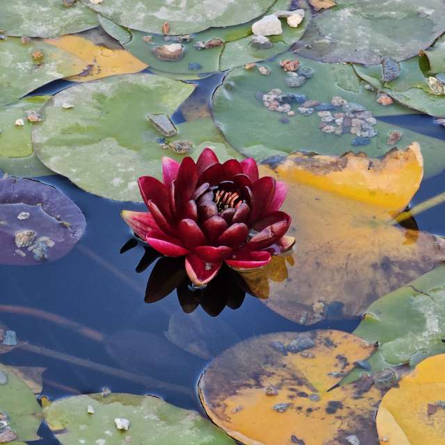 Fotos Clima. Previsões do tempo com lindas fotos de Chizh em Almaty