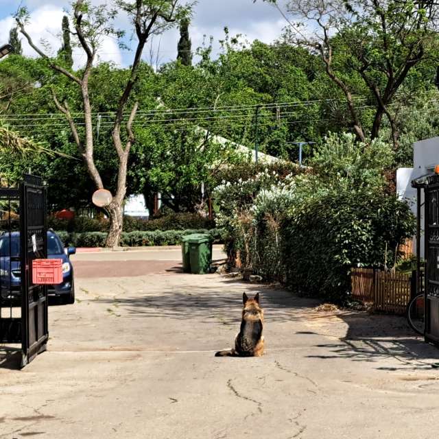 Zoo. Weather forecasts with beautiful photos by Sviatoslav Photos in World