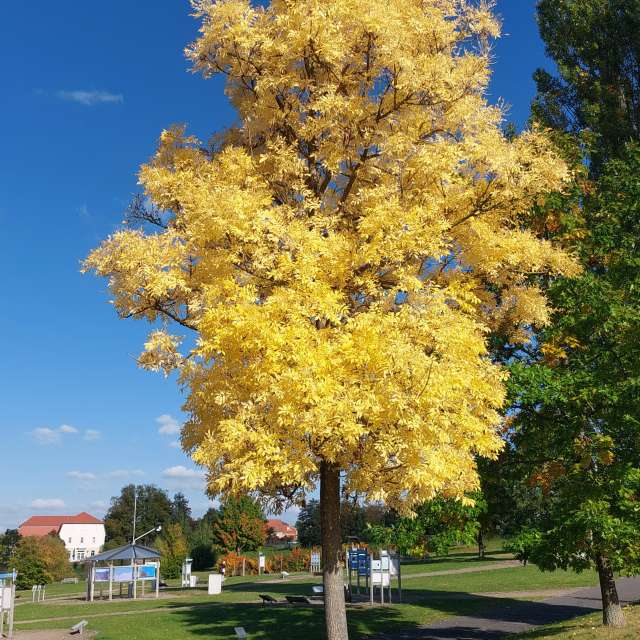 Previsões do tempo com lindas fotos de MaLou