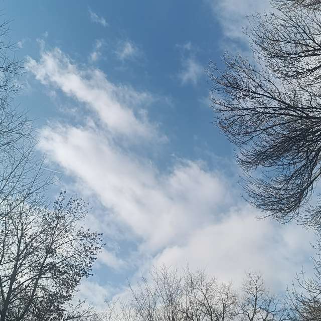 Fotos del Oveja. Pronósticos del tiempo con hermosas fotos de YanBog en București