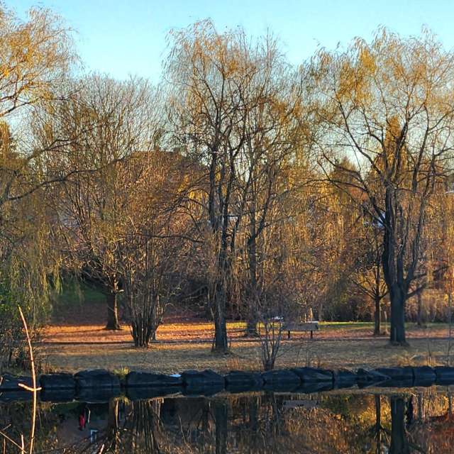 Wettervorhersagen mit schönen Fotos von KevinG