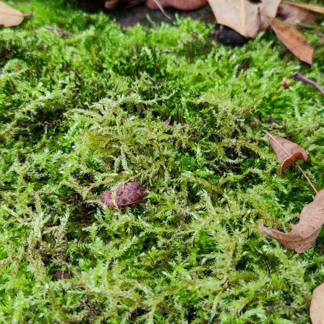 Food. Weather forecasts with beautiful photos by Tercis Photos in Ettlingen