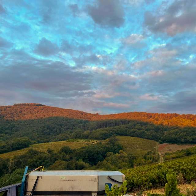 Weather forecasts with beautiful photos by Andbot_