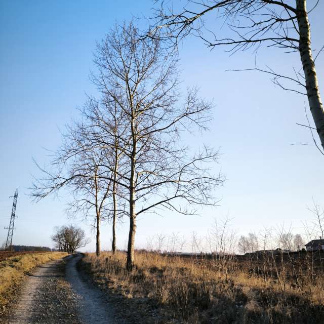 Прогнозы погоды с чудесными фотографиями, сделанными Adraj