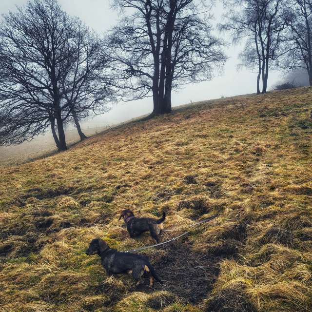 Weather forecasts with beautiful photos by Gweiland