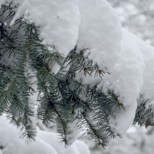 Прогнозы погоды с чудесными фотографиями, сделанными LMukasz