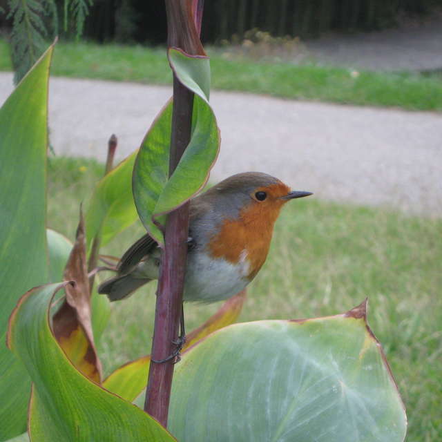 Fotos del Mesa. Pronósticos del tiempo con hermosas fotos de MariaB en Sochi