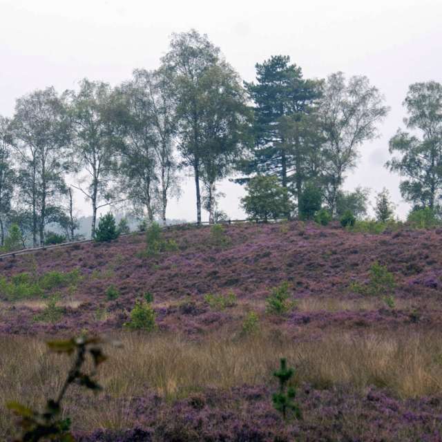 Weather forecasts with beautiful photos by Fon_Tunnissen