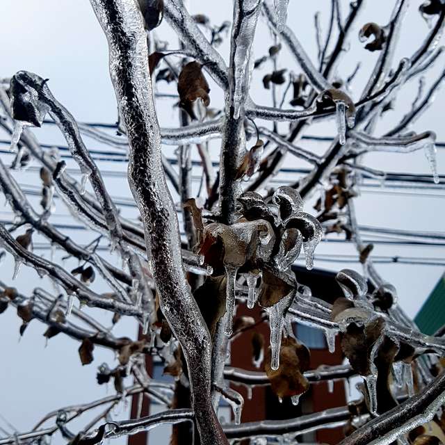 Fotos del Clima. Pronósticos del tiempo con hermosas fotos de Bogdan_Parlici en Bucharest