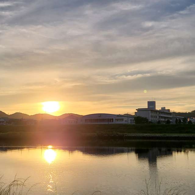 Sheep. Weather forecasts with beautiful photos by あさのジジ Photos in Okayama